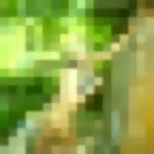 Dienaba, 20 ans, cherche un rencontre adulte à Philippsbourg