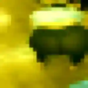 rencontre adulte à Pibrac : profil de Joy, 27 ans - accès libre