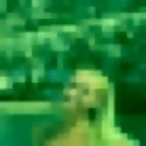 Jolie Zaïna, 36 ans à Pibrac - la contacter