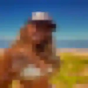 Profil de Yacine à Pierrevert (39 ans) - rencontre adulte gratuit
