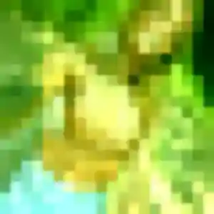 Yasmina, femme de 21 ans veut rencontre adulte à Pissotte