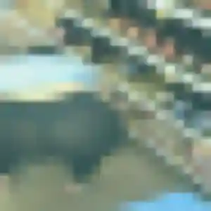 Belle Amenan, 44 ans à Pitgam - voir sa photo