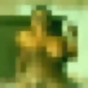 Jolie Peace, 24 ans à Plan-d'Orgon - découvrir son profil