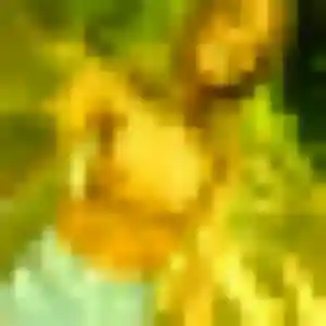 Amara, femme de 25 ans propose rencontre adulte à Planfoy