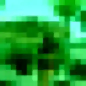 Rencontre Lilou, 20 ans à Plappeville en privé