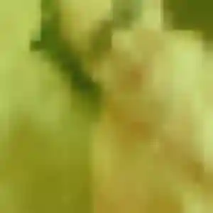 Photo exclusive de Dado, 21 ans à Plassac - rencontre coquine