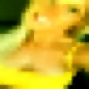 Photo de Héloïse à Plaudren (24 ans) - rencontre adulte anonyme