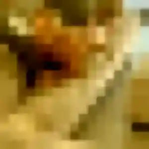 Karima, 43 ans, disponible à Plaudren pour un rencontre adulte