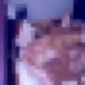 Salma, 30 ans, cherche un rencontre adulte à Pléchâtel