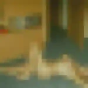 Photo exclusive de Oluchi, 23 ans à Plélauff - plan discret