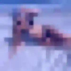 Grâce, fille de 41 ans veut rencontre adulte à Plémy