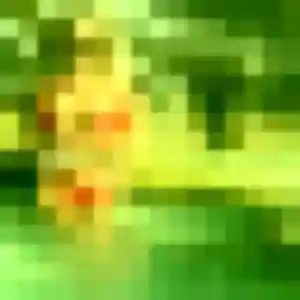 Hope (41 ans) à Ploërdut attend un rencontre adulte maintenant