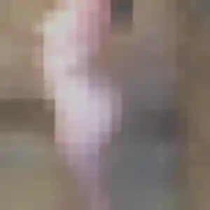 rencontre adulte à Ploëzal : profil de Yacine, 20 ans - inscription gratuite