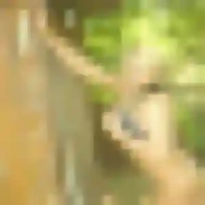 Titi, 41 ans, dispo pour rencontre adulte à Plouider