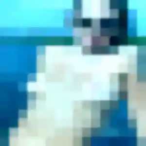 Contacte Modupe, 31 ans à Ploumagoar en t'inscrivant