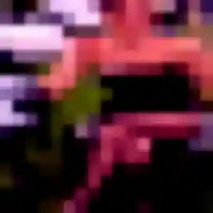 Photo exclusive de Grace, 28 ans à Plourin - plan discret