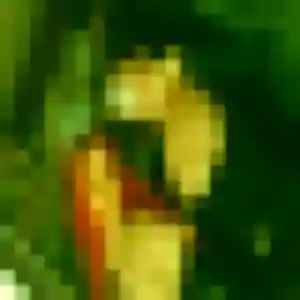 Inès, 32 ans, dispo pour rencontre adulte à Plurien