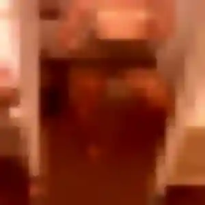 rencontre adulte à Polignac : profil de Shade, 32 ans - inscription gratuite