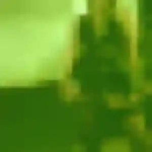 Marguerite, fille de 22 ans cherche rencontre adulte à Polliat