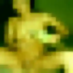 Belle Patience, 44 ans à Pomarez - la contacter