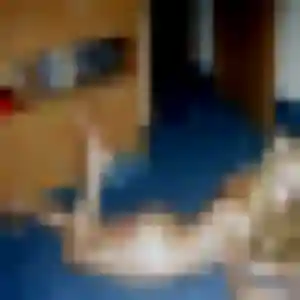 Découvre Fanny, 31 ans à Pomas gratuitement