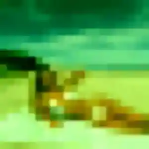 Rejoins Ehui, 40 ans à Pomerol gratuitement