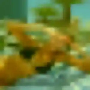 rencontre adulte à Pompignan : photo de Monique, 22 ans - accès libre