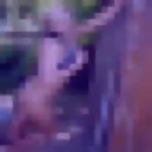 Photo exclusive de Félicité, 42 ans à Pontault-Combault - rencontre coquine