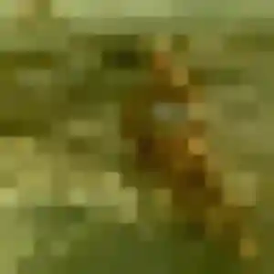 Sexy Yankuba, 44 ans à Pontivy - voir sa photo