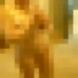 Binta, fille de 25 ans cherche rencontre adulte à Pontmain