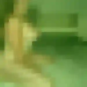 Leïla, 37 ans, connectée à Porspoder pour une rencontre coquine