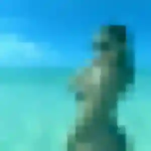 Oumou, 25 ans, dispo pour rencontre adulte à Portet-sur-Garonne