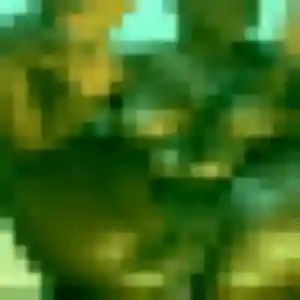 Hortense, fille de 22 ans cherche rencontre adulte à Potigny