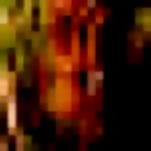 Rencontre Régine, 45 ans à Pouilley-Français gratuitement