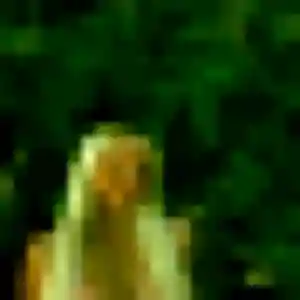 Sexy Aïcha, 41 ans à Pralong - voir sa photo