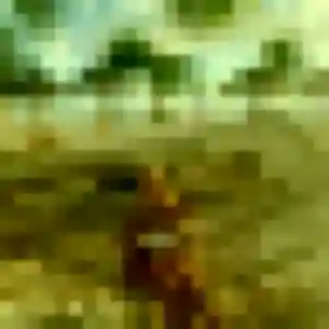 rencontre adulte à Prémesques : profil de Wilda, 20 ans - accès libre