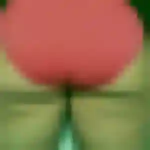 Sandrine, femme de 22 ans cherche rencontre adulte à Provins