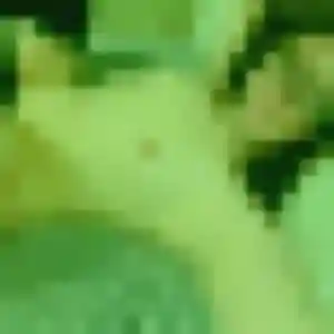 Photo de Céline à Puch-d'Agenais (45 ans) - rencontre adulte sans inscription