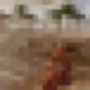 rencontre adulte à Puisserguier : photo de Salamata, 45 ans - inscription gratuite