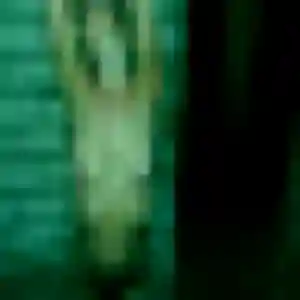 Photo de Yasmina à Pujo (37 ans) - rencontre adulte anonyme