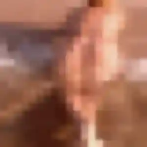 Odile, 34 ans, connectée à Pulversheim pour un rencontre adulte