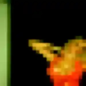 Ténin, 35 ans, dispo pour rencontre adulte à Quarante