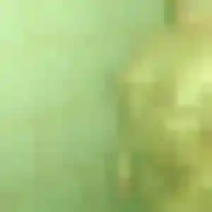 rencontre adulte à Quéant : photo de Sékou, 33 ans - sans engagement