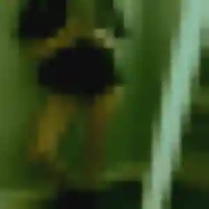 Océane (32 ans) à Quesnoy-sur-Deûle cherche une rencontre ce soir