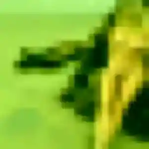 Affoué (20 ans) à Rancé cherche un rencontre adulte maintenant