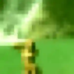 Photo exclusive de Hawa, 33 ans à Rânes - rencontre coquine