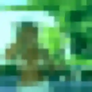 Belle Aïcha, 26 ans à Rantigny - la contacter