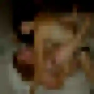 Solène, 42 ans, veut un rencontre adulte à Réhon