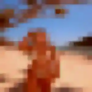 Touty, fille de 39 ans veut rencontre adulte à Reignac