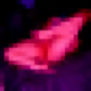 Photo privée de Ophélie, 21 ans à Reims - plan discret